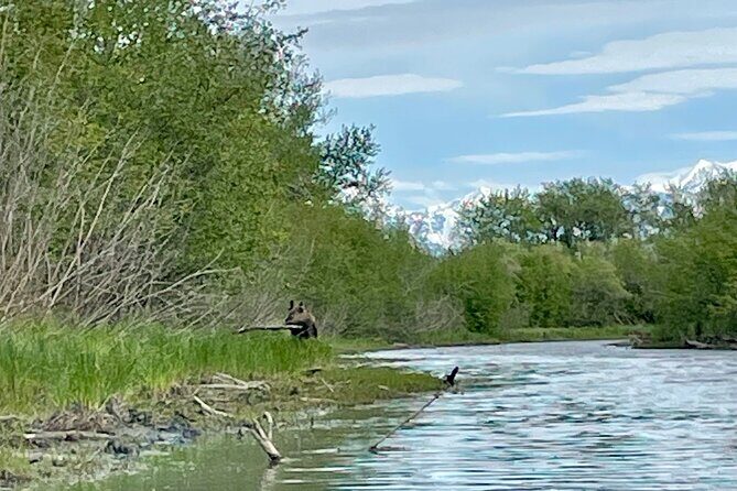 Full Day Guided Kayak Tour on Knik River - FAQ