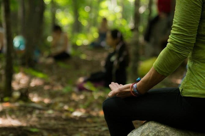 Full day Guided Meditation tour with Lunch - Key Points