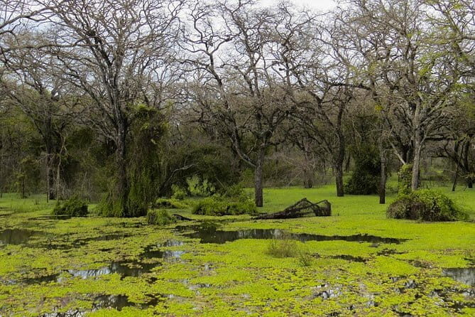 Full day Guided Meditation tour with Lunch - The Sum Up: The Value Proposition