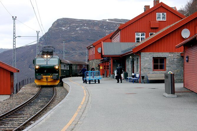 Full Day Guided Roundtrip From Bergen To Sognefjord With Flam Railway - The Logistics and What It Means for You