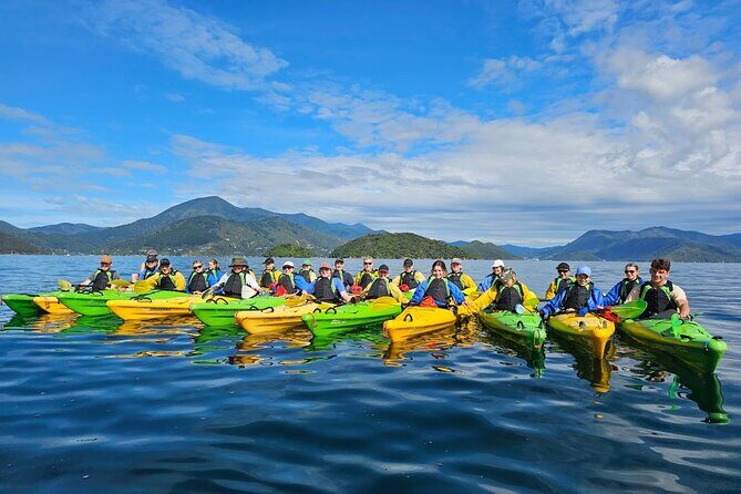 Full day Guided Sea Kayak Tour from Picton - An In-Depth Look at the Marlborough Sounds Kayak Tour