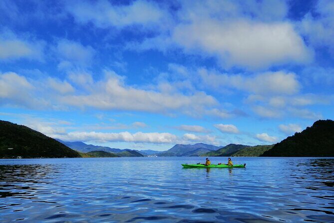 Full day Guided Sea Kayak Tour from Picton - Authentic Traveler Experiences