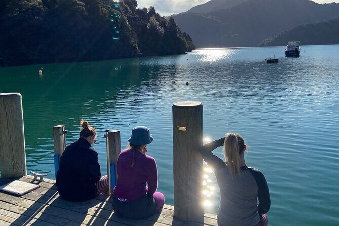 Full-Day Guided Sea Kayak Trip from Picton - What Makes This Tour Stand Out