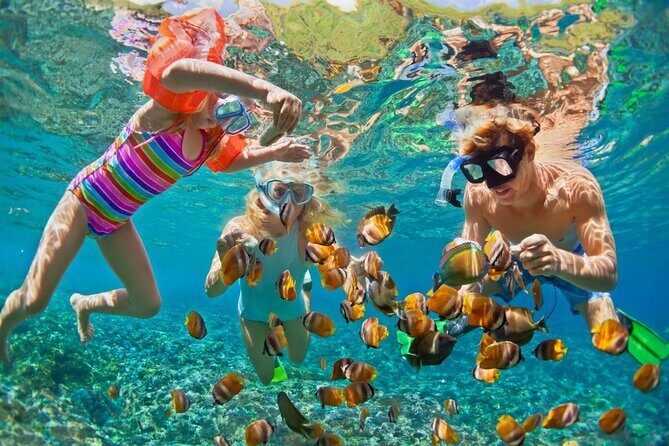 Full Day Guided Snorkeling and Fishing Tour in Phu Quoc - Key Points