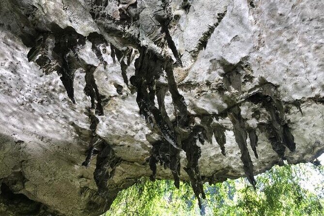 Full Day Guided Tour in Bor Thor Caves and Mangroves - Who Will Love This Tour?