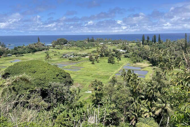 Full Day Guided Tour in Hana - Detailed Breakdown of the Tour Experience