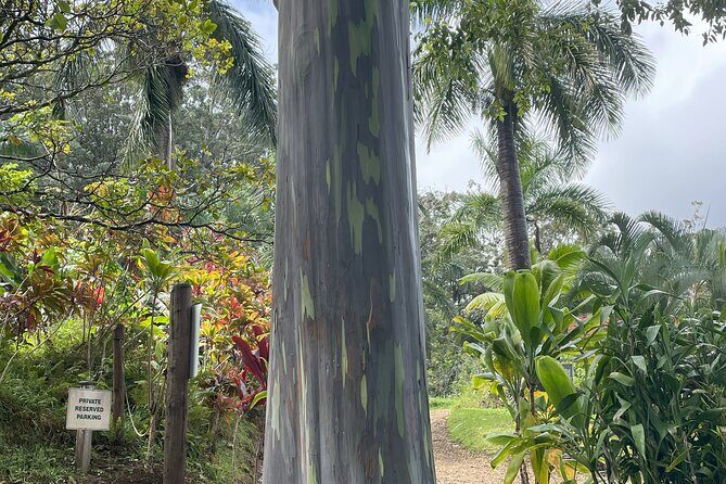 Full Day Guided Tour in Hana - Frequently Asked Questions