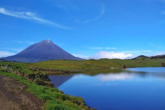 Full-Day Guided Tour in Pico Island - Exploring Pico Island: A Full-Day Guided Tour Review