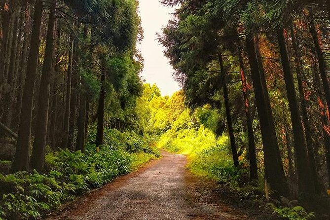 Full-Day Guided Tour in Pico Island - Final Thoughts