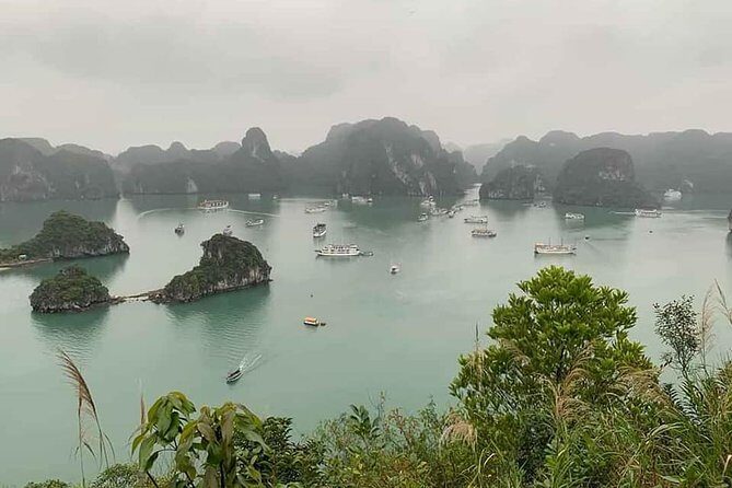 Full-Day Guided Tour of Lan Ha Bay and Ha Long Bay from Hanoi - Lunch: Fresh Seafood and Local Flavors