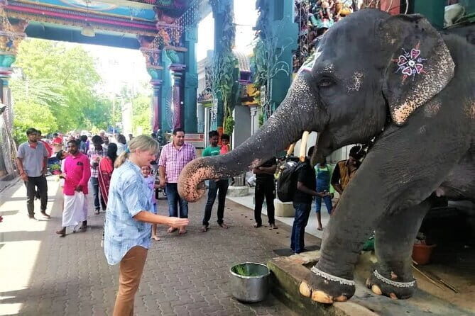 Full Day Guided Tour of Pondicherry with lunch and hotel pickup - Key Points
