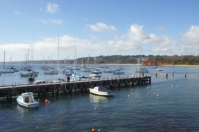 Full-Day Guided Tour on the Beautiful Mornington Peninsula. - Final Thoughts: Is This Tour Worth Your Time and Money?