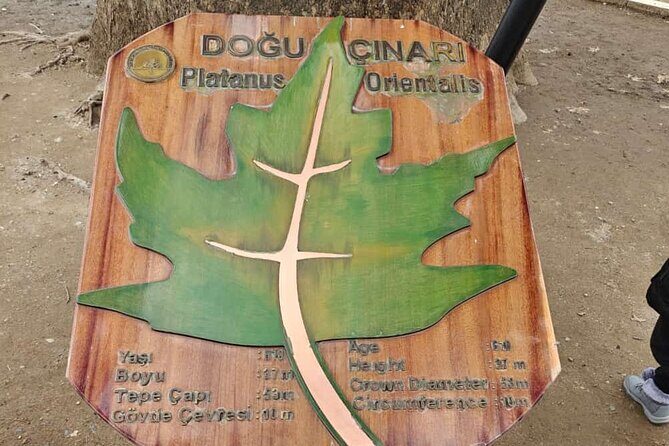 Full Day Guided Tour to Bursa and Uludag - Key Points