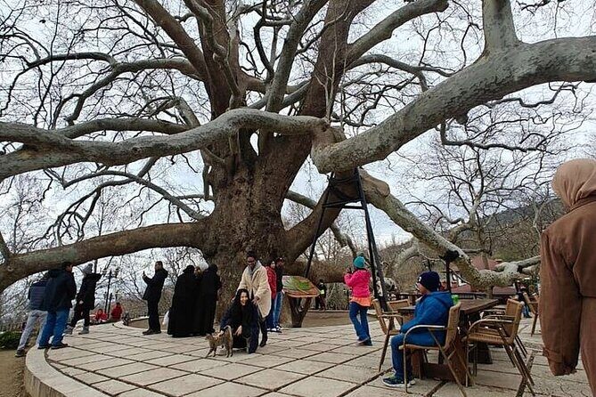 Full Day Guided Tour to Bursa and Uludag With Cable Car And Lunch - The Sum Up
