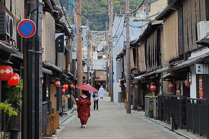 Full Day Guided Tour to Kyoto and Nara from Osaka by Van - Practical Considerations