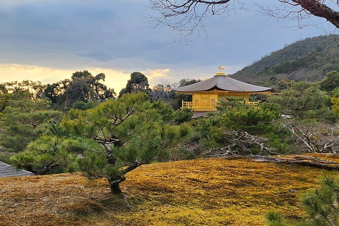 Full Day Guided Tour to Kyoto Arashiyama from Osaka by Van - Final Thoughts