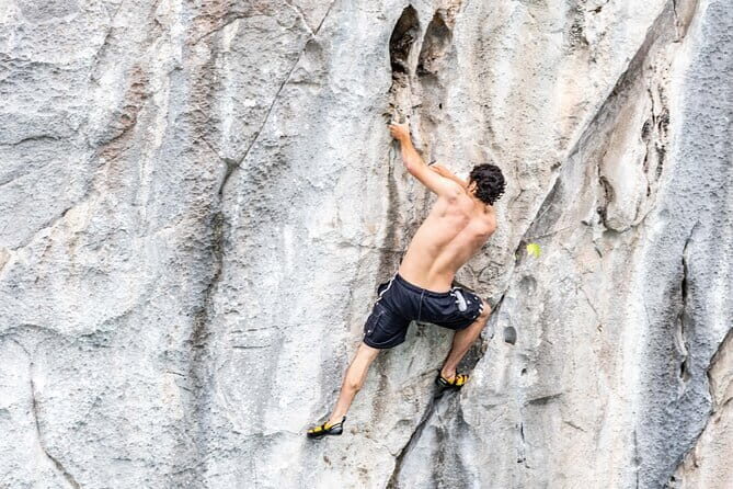 Full Day Guided Tour to Lan Ha Bay with Kayaking, Cliff Jumping - Final Thoughts