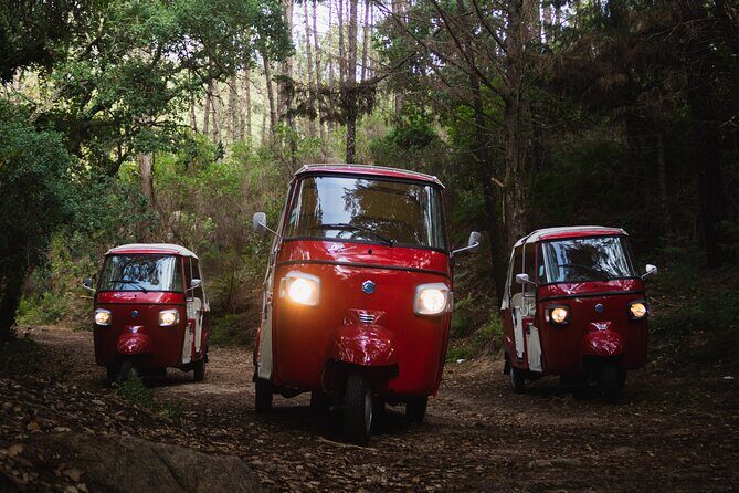 Full-Day Guided Tuk-Tuk Tour in Sintra - Practical Details and Considerations