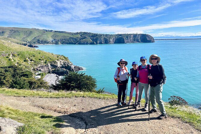 Full Day Guided Walking Tour and Picnic around Godley Head - The Detailed Itinerary