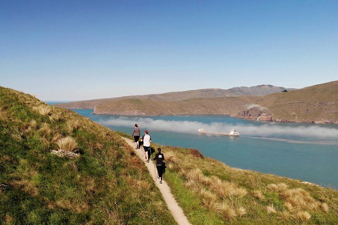 Full Day Guided Walking Tour and Picnic around Godley Head - Why It Stands Out
