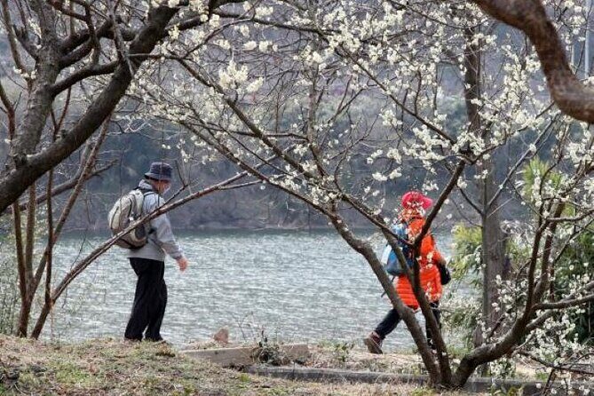 Full-day Hadong, Gwangyang, Cherry blossom, Green Tea Fields Private Tour - Final Thoughts