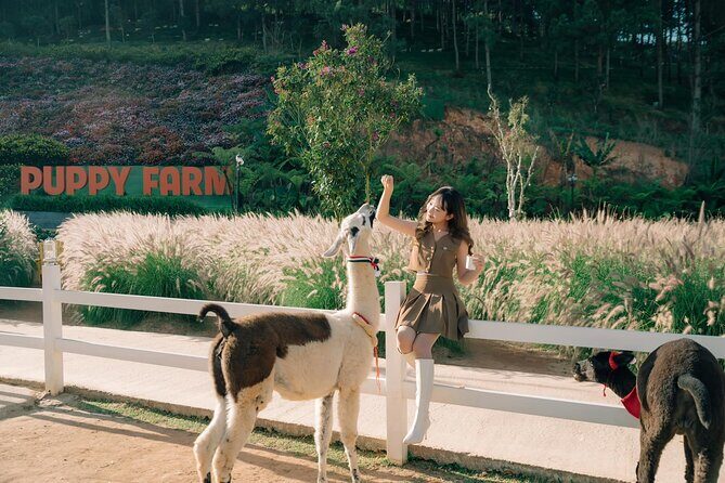 Full-Day Highlight of Da Lat The famous tourist attractions 2025 - Full-Day Highlight of Da Lat: The Famous Tourist Attractions 2025