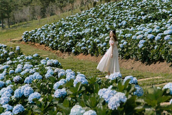 Full-Day Highlight of Da Lat The famous tourist attractions 2025 - Key Points