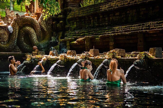 Full-Day Highlights and Best of Ubud Village - Transportation and Logistics