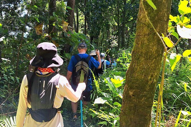 Full-Day Hike and Bike Tour from Chiang Mai - The Sum Up