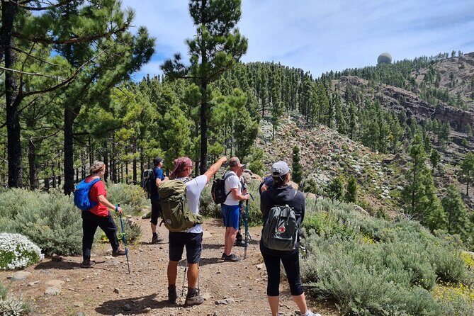 Full day Hiking Gran Canaria Peaks of Gran Canaria - Key Points