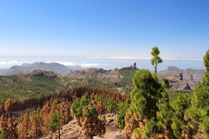 Full day Hiking Gran Canaria Peaks of Gran Canaria - Why This Tour Excels