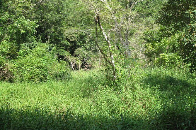 Full day hiking in Jungle of Cat Ba National park - What We Loved About the Tour