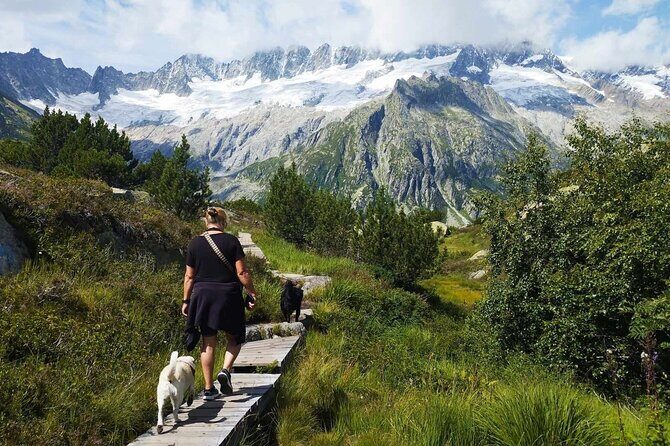 Full-Day Hiking Swiss Alps and Lake swim with Pick-up - The Hiking Experience