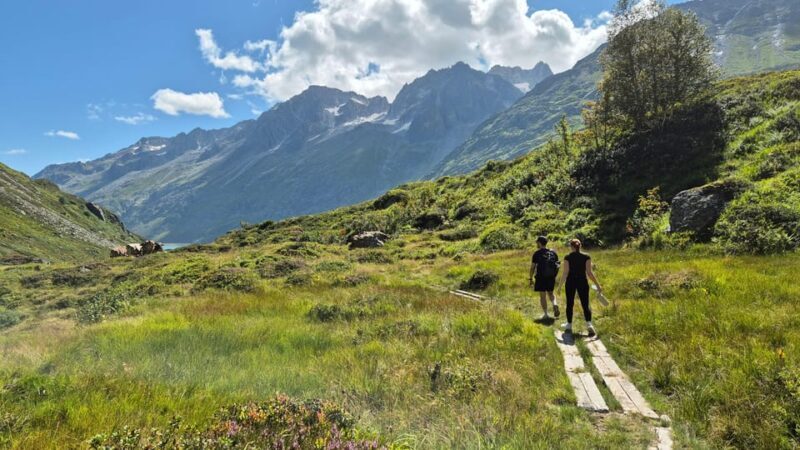 Full-Day Hiking Swiss Alps and Lake with Pick-up - Final Thoughts