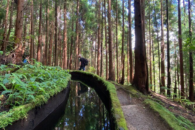 Full Day Hiking Trail in Lagoa do Fogo Sao Miguel - Key Points