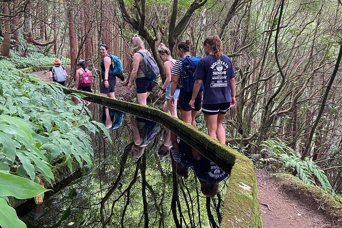 Full Day Hiking Trail in Lagoa do Fogo Sao Miguel - Final Thoughts: Who Will Love This Experience?