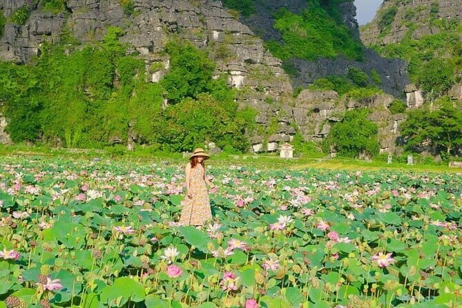 Full Day Hoa Lu Tam Coc Or Trang An Tour - Tam Coc: The Land of "Halong Bay on Land"