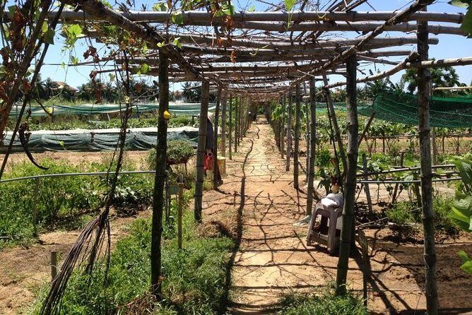 Full Day Hoi An Rural Life, Bike, Basket Boats, Farms & Fields (Private tour) - The Practical Side: What to Expect