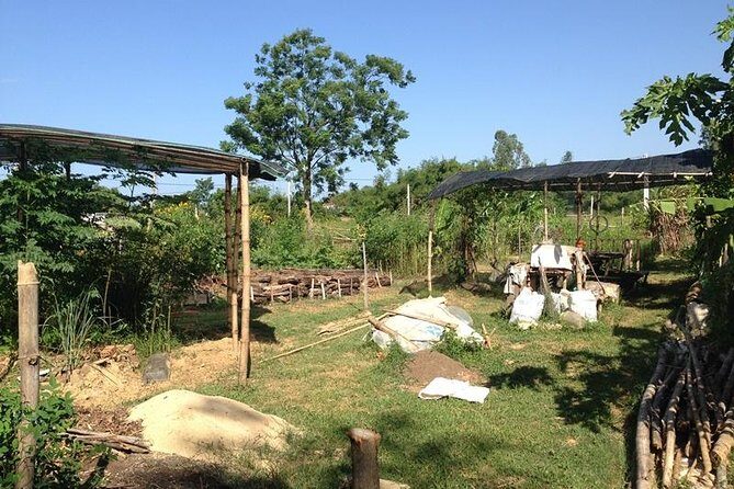 Full Day Hoi An Rural Life, Bike, Basket Boats, Farms & Fields (Private tour) - FAQ