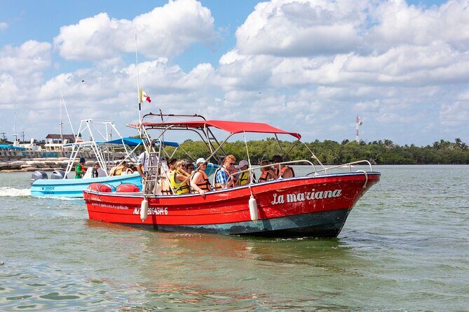 Full-Day Holbox Island Boat and Buggy Tour with Lunch - Authentic Traveler Feedback