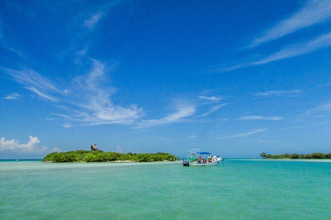 Full Day Holbox Island Tour from Cancun with Lunch - Frequently Asked Questions (FAQs)