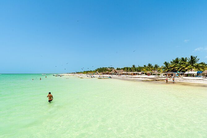 Full Day Holbox Island Tour from Playa del Carmen with Lunch - Key Points