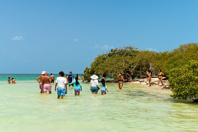 Full Day Holbox Island Tour from Playa del Carmen with Lunch - FAQ