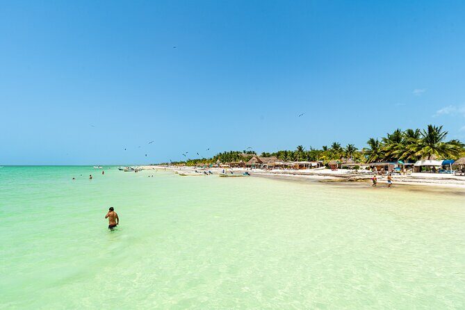Full Day Holbox Island Tour from Playa del Carmen with Lunch - Exploring the Itinerary in Detail