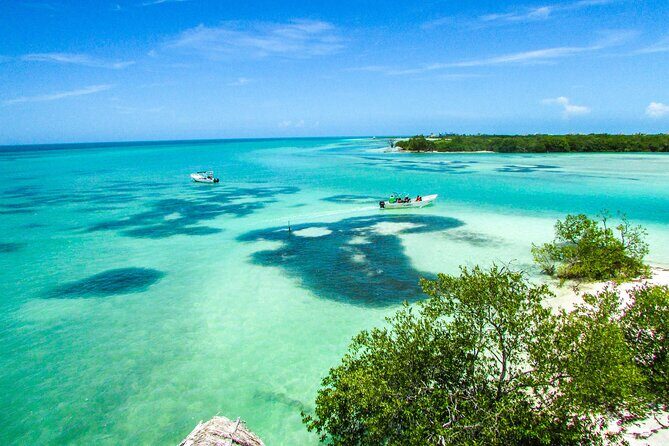 Full Day Holbox Island Tour from Playa del Carmen with Lunch - The Practical Side: Transport, Pricing, and Group Size