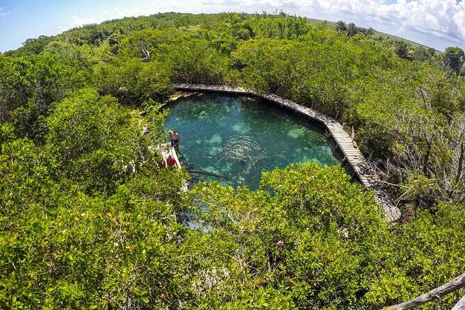Full Day Holbox Island Tour from Playa del Carmen with Lunch - The Sum Up: Who Should Consider This Tour?