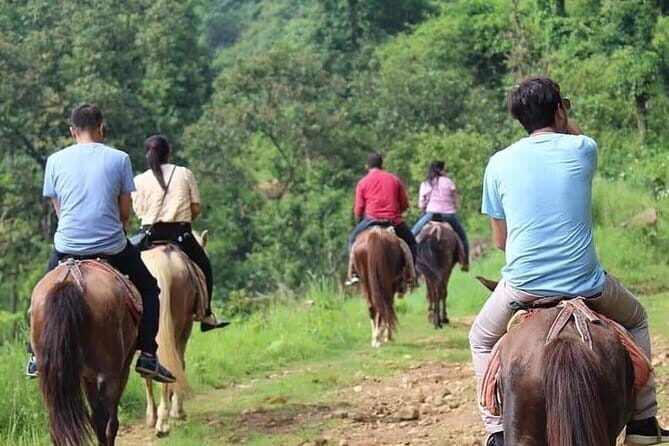 Full Day Horse Riding to Sarangkot in Pokhara - Authentic Insights from Past Travelers