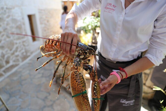 Full-Day Hvar & Pakleni Islands Speedboat Private Tour from Split - The Sum Up: Is This Tour for You?