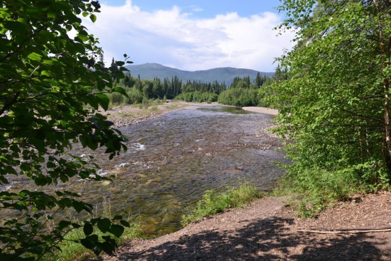 Full Day Ice Museum and Chena Hot Springs Tour - An In-Depth Look at the Tour Experience