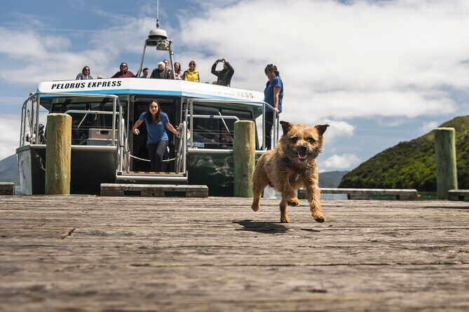 Full Day Iconic Mail Boat Cruise - The Value of This Experience